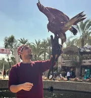 Omar Ahmed ElHawary — Technical Consultant & Solutions Engineer